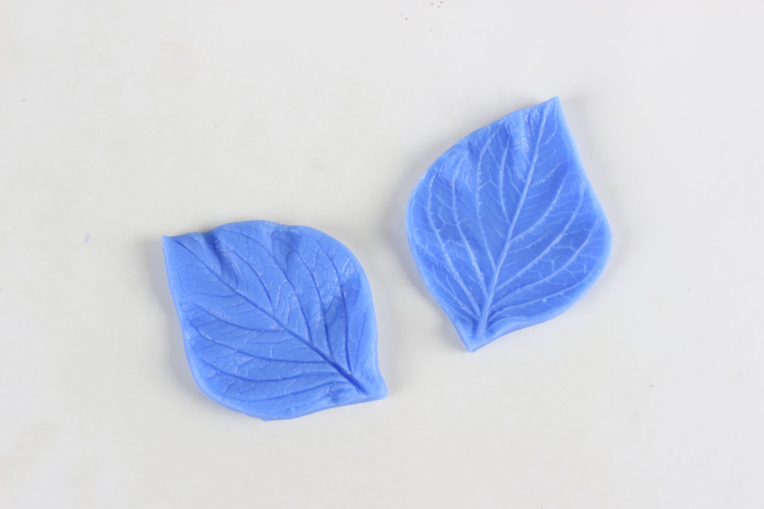 2100395-1-scaled بودکور وينر سيليکوني برگ کوکب 2100395 - تصویر 1