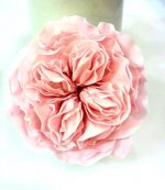 بودکور وينر سيليکوني گلبرگ ديويد آستين 2100397 - تصویر 2