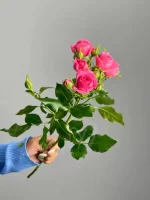 بودکور وينر سيليکوني رز سلطنتي عسگري 210098 - تصویر 2