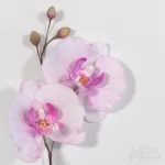 بودکور ست کاتر گلسازي 3 تايي ارکيده 230027 - تصویر 2