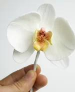 بودکور ست کاتر گلسازي ارکيده روسي 230061 - تصویر 2