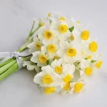 بودکور ست کاتر گلسازي گل نرگس 230080 - تصویر 2