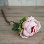 بودکور ست کاتر گلسازي کاسبرگ پيوني 230099 - تصویر 2