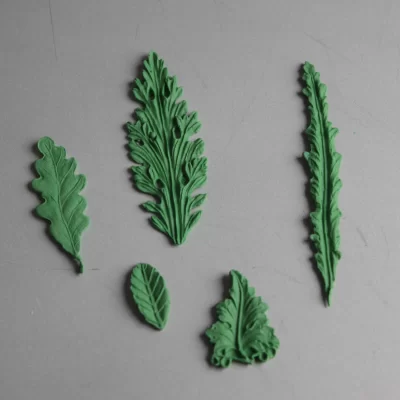 بودکور بليستر وکيوم برگ سرخس 2600103